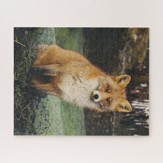 Le Puzzle de Fox (Horizontal)