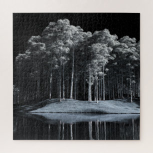 Le puzzle de la forêt blanche (nuit)