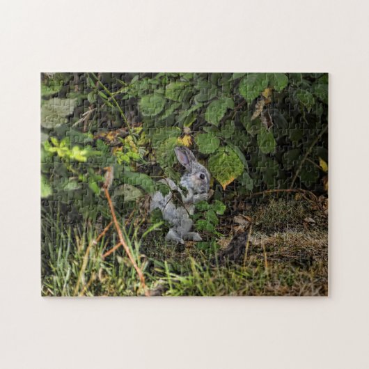 Le puzzle de lapin de velventine (Horizontal)