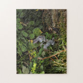 Le puzzle de lapin de velventine (Vertical)