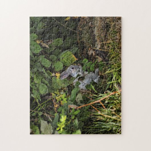 Le puzzle de lapin de velventine (Vertical)