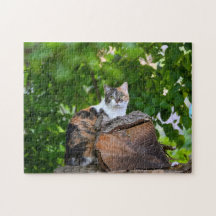 Le Puzzle du Chat