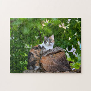 Le Puzzle du Chat