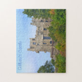 Le puzzle du château de Gillette (Vertical)