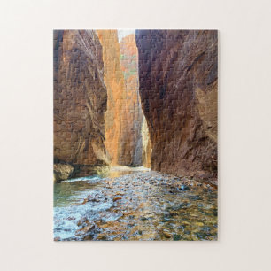 Le Puzzle Du Parc National De Zion, Les Étroits