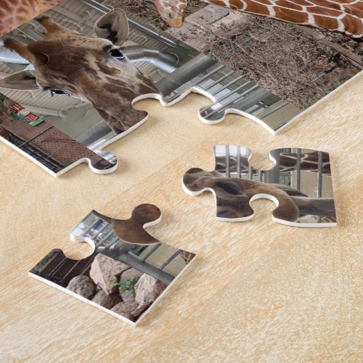 Le Puzzle du troupeau (Côté)