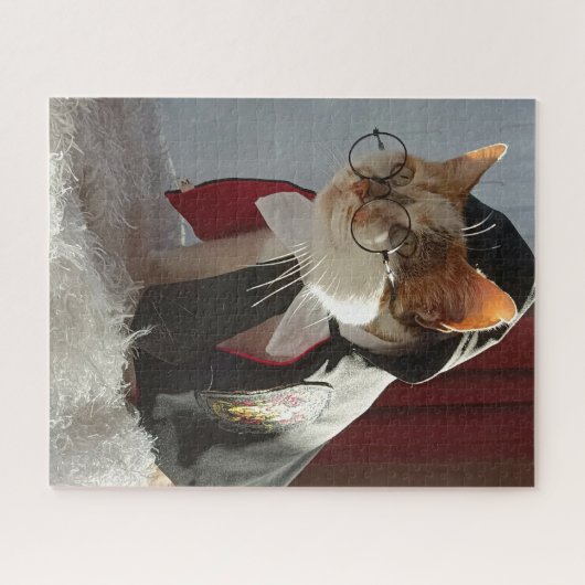 Le puzzle Wizard Cat (Horizontal)