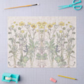 Le Ranunculus botanique fleurit le papier de soie (Artisanat)