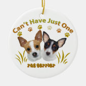 Le Rat terrier ne peut pas avoir juste un ornement (Devant)