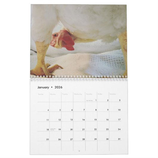 Le Real Boo le calendrier 2021 (Jan 2026)