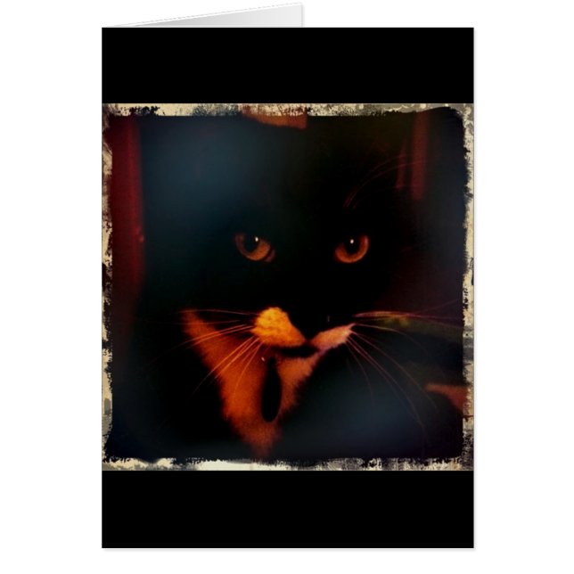 Le regard dramatique de Lucy (Devant)