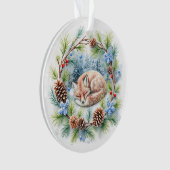 Le renard dormant pendant les vacances de la couro (devant)