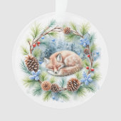 Le renard dormant pendant les vacances de la couro (devant)