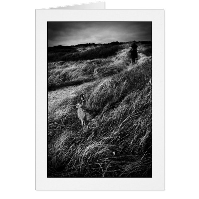 Le Rendez-Vous d'Alice Wonderland (Devant)