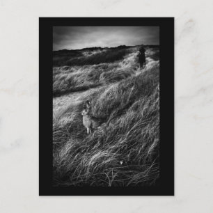 Le Rendez-vous d'Alice Wonderland foto van mooie k Briefkaart