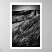 Le Rendez-vous d'Alice Wonderland foto van mooie k Poster (Voorkant)