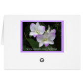 Le Ressentez-Vous Aussi ? Carte (Dos Horizontal)