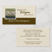 Le ressort agnelle le carte de visite (Devant / Derrière)