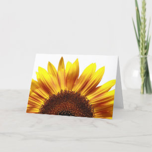 Le ressort est prochaine carte de voeux