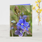 Le ressort fleurit la carte de voeux (Fleur jaune)