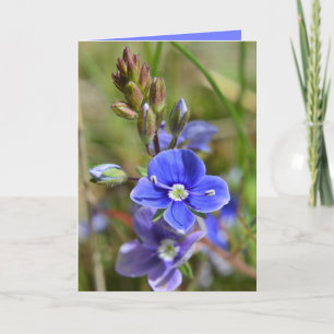 Le ressort fleurit la carte de voeux