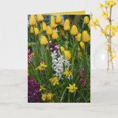 Le ressort fleurit la carte de voeux (Fleur jaune)