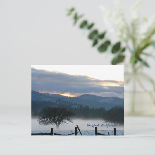 Le Réveil des Esprits...... Carte postale (Debout devant)