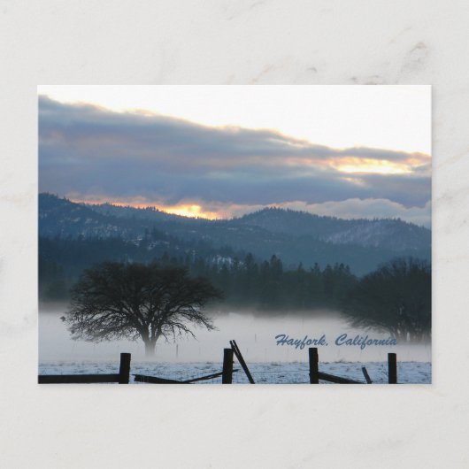 Le Réveil des Esprits...... Carte postale (Devant)