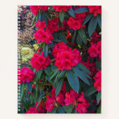 Le Rhododendron rouge fleurit le Carnet Floral (Devant)