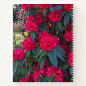 Le Rhododendron rouge fleurit le Carnet Floral (Dos)