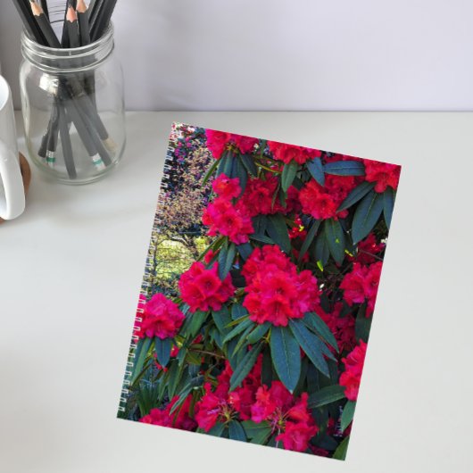 Le Rhododendron rouge fleurit le Carnet Floral