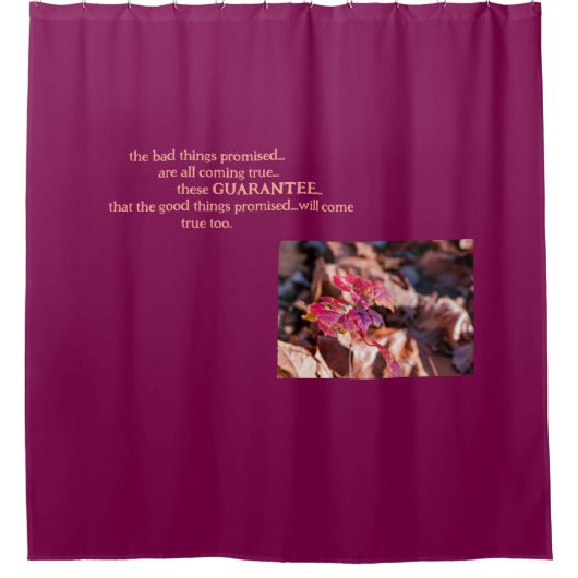 Le rideau De Douche Garantie (Devant)