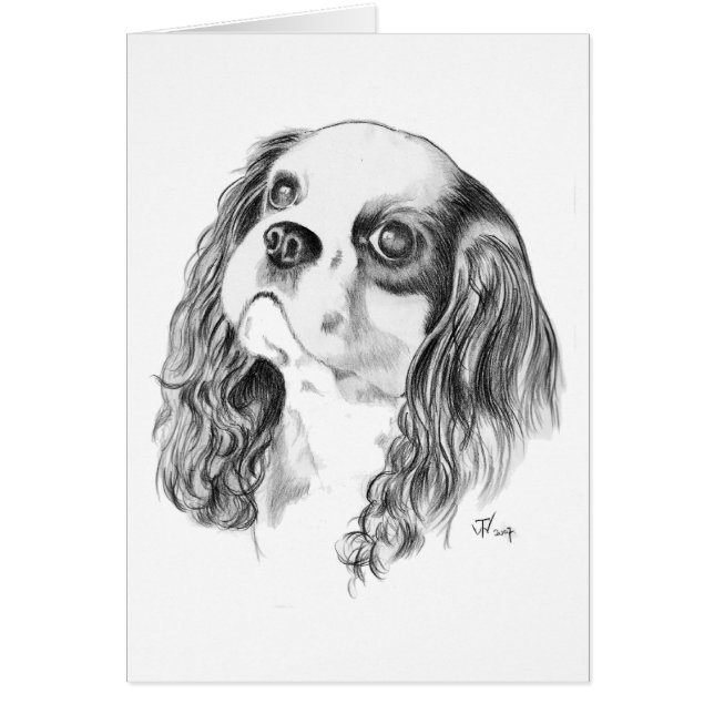 Le Roi cavalier Charles Drawing (Devant)