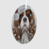 Le roi Cavalier Charles Spaniel, Chien Père Noël, (devant)
