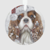 Le roi Cavalier Charles Spaniel, Chien Père Noël, (dos)