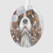 Le roi Cavalier Charles Spaniel, Chien Père Noël, (devant)