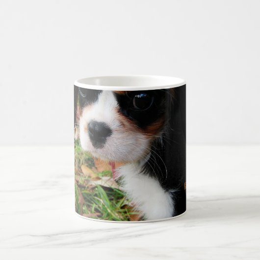 Le Roi Charles Cavalier Spaniel Mug (Centre)