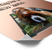 Le roi Charles Cavalier Spaniel, Poster d'Art Pop  (Coin)