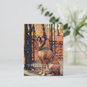 LE ROI DE TOUS LES CHIENS Carte postale pour les a (Debout devant)