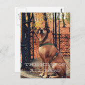 LE ROI DE TOUS LES CHIENS Carte postale pour les a (Devant / Derrière)
