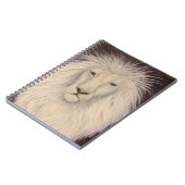 Le Roi juste Journal (Côté gauche)