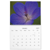 Le rose pourpre bleu fleurit le calendrier 2010 (Jan 2027)