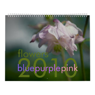 Le rose pourpre bleu fleurit le calendrier 2010