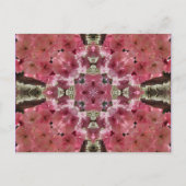 Le rose se développe carte postale de fleur de (Devant)