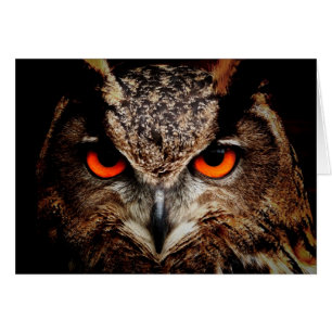 Le rouge observe le duc