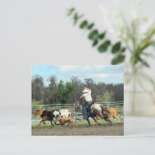 Le Roundup - Carte postale Cowboy (Debout devant)