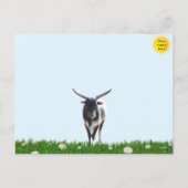 Le Roundup - Carte postale Cowboy (Dos)