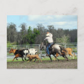 Le Roundup - Carte postale Cowboy (Devant)