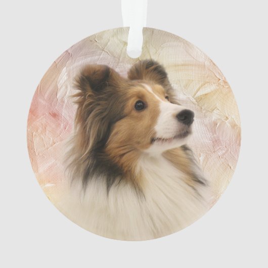 Le sable Sheltie font face (dos)