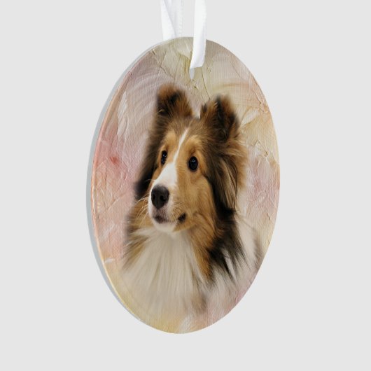 Le sable Sheltie font face (devant)